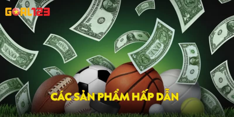 Các sản phẩm hấp dẫn